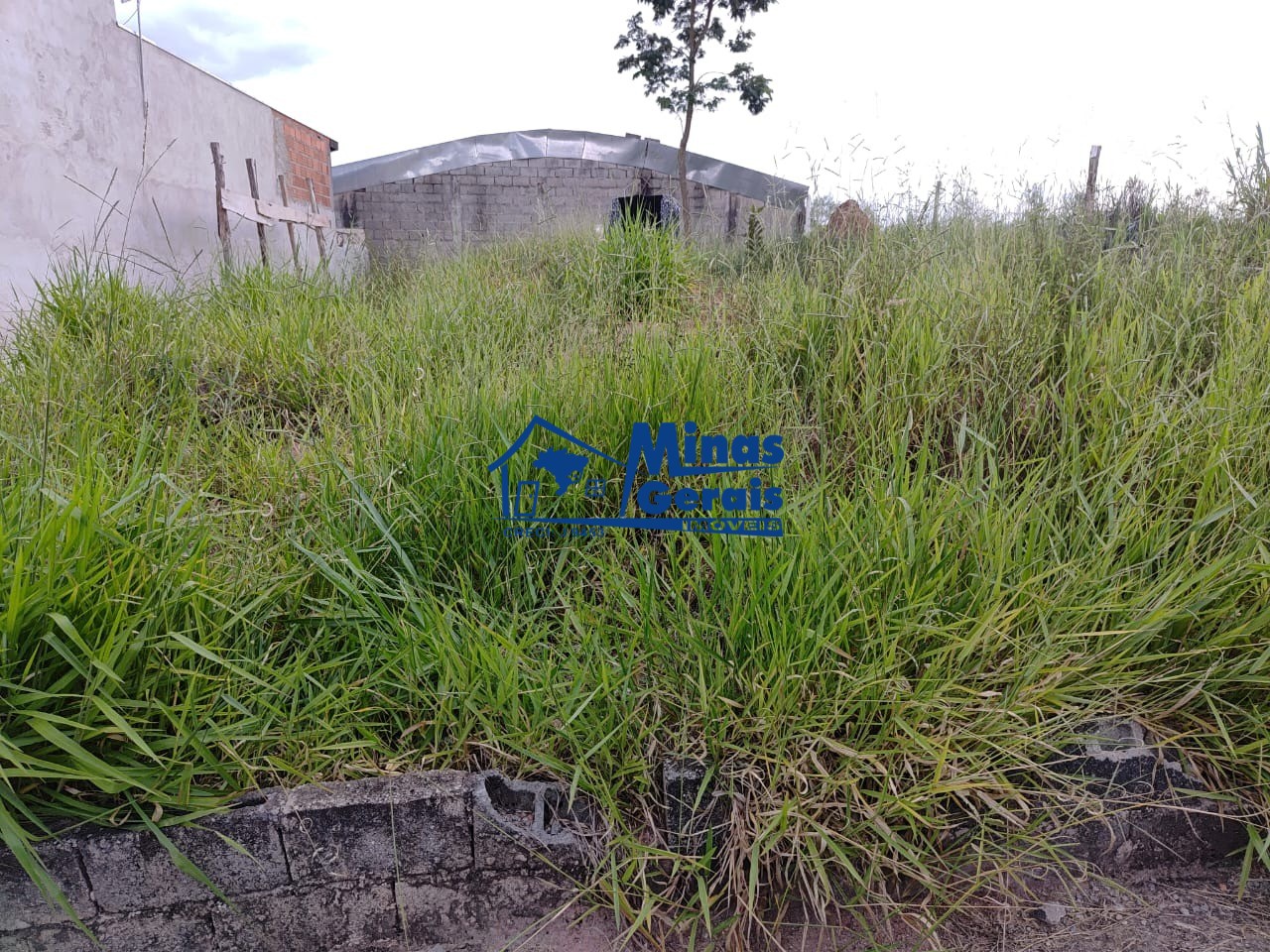 Terreno, 203 m² - Foto 4