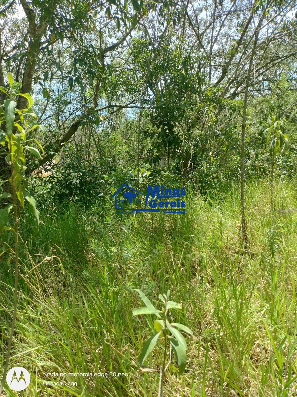 Terreno à venda, 13000m² - Foto 5