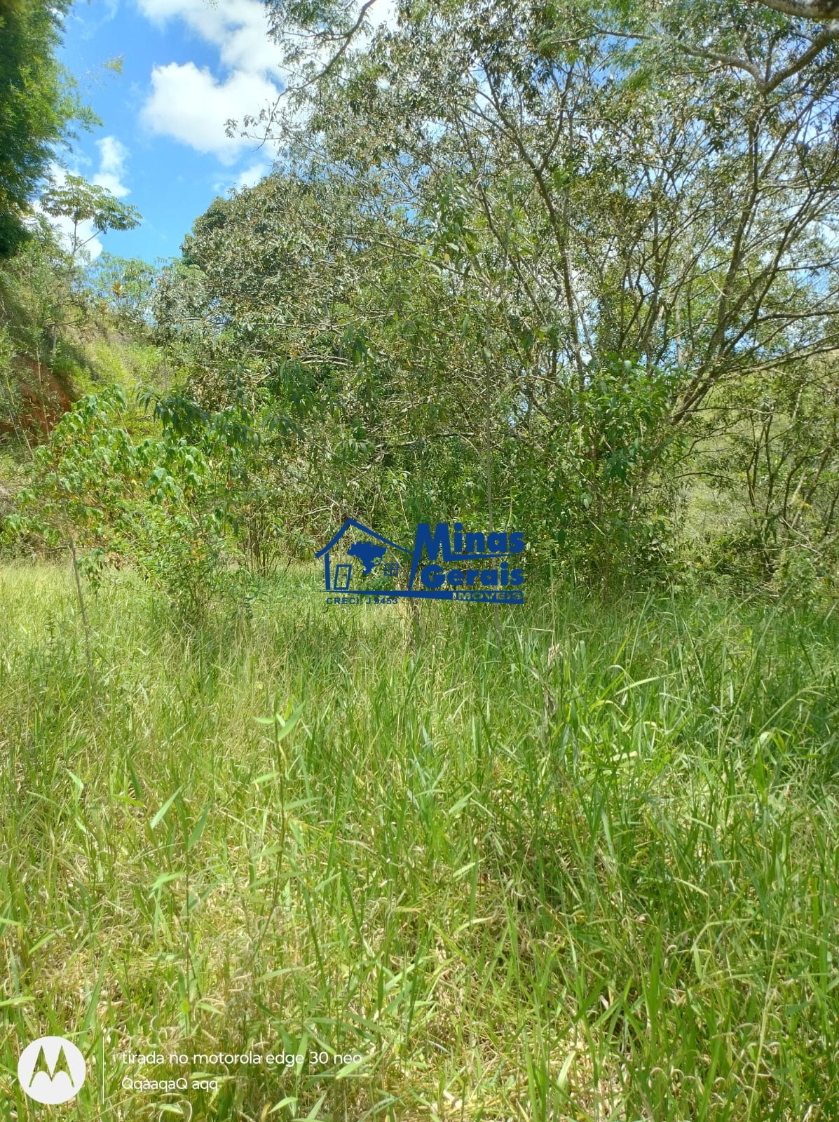 Terreno à venda, 13000m² - Foto 3