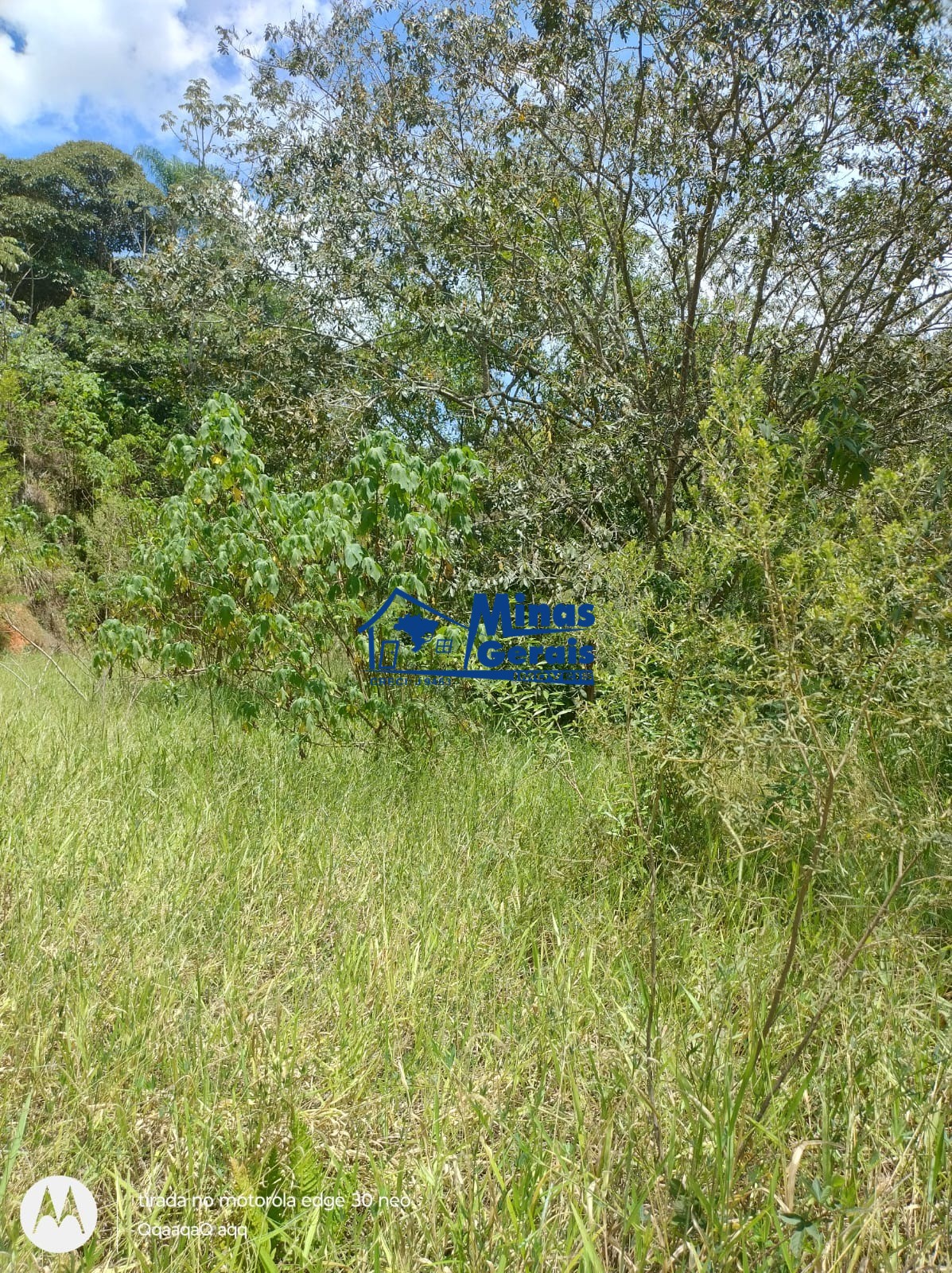 Terreno à venda, 13000m² - Foto 4