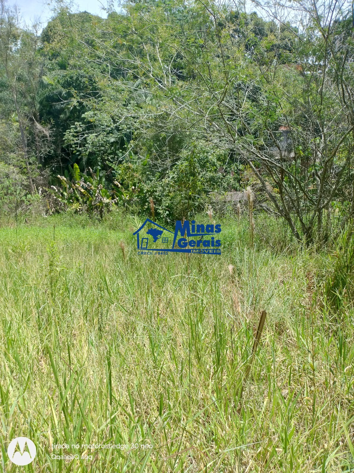 Terreno à venda, 13000m² - Foto 1