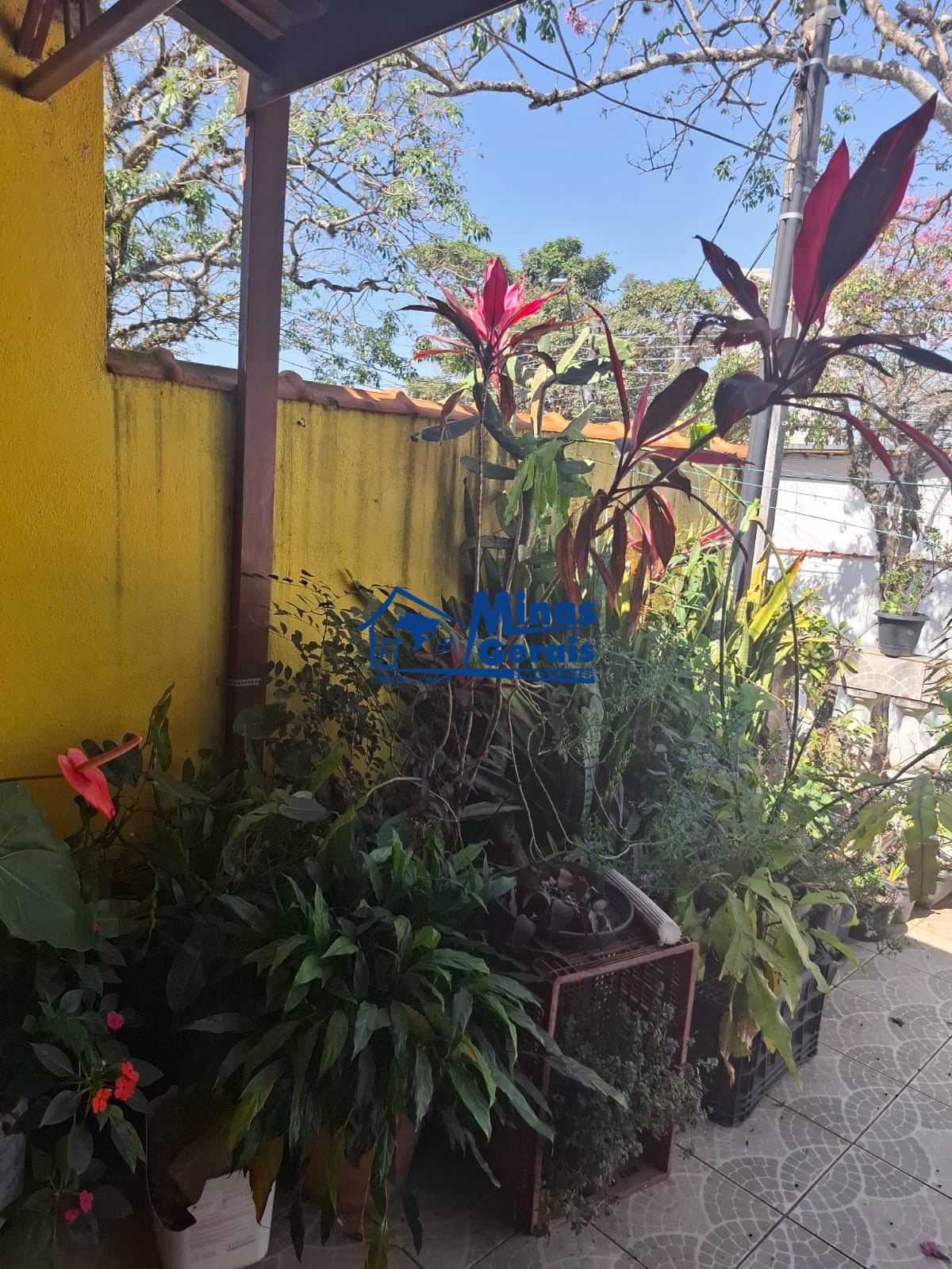 Casa, 3 quartos - Foto 15