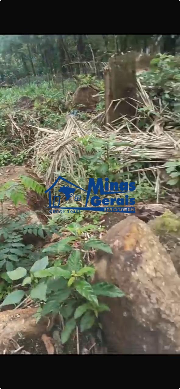 Terreno, 380 m² - Foto 3