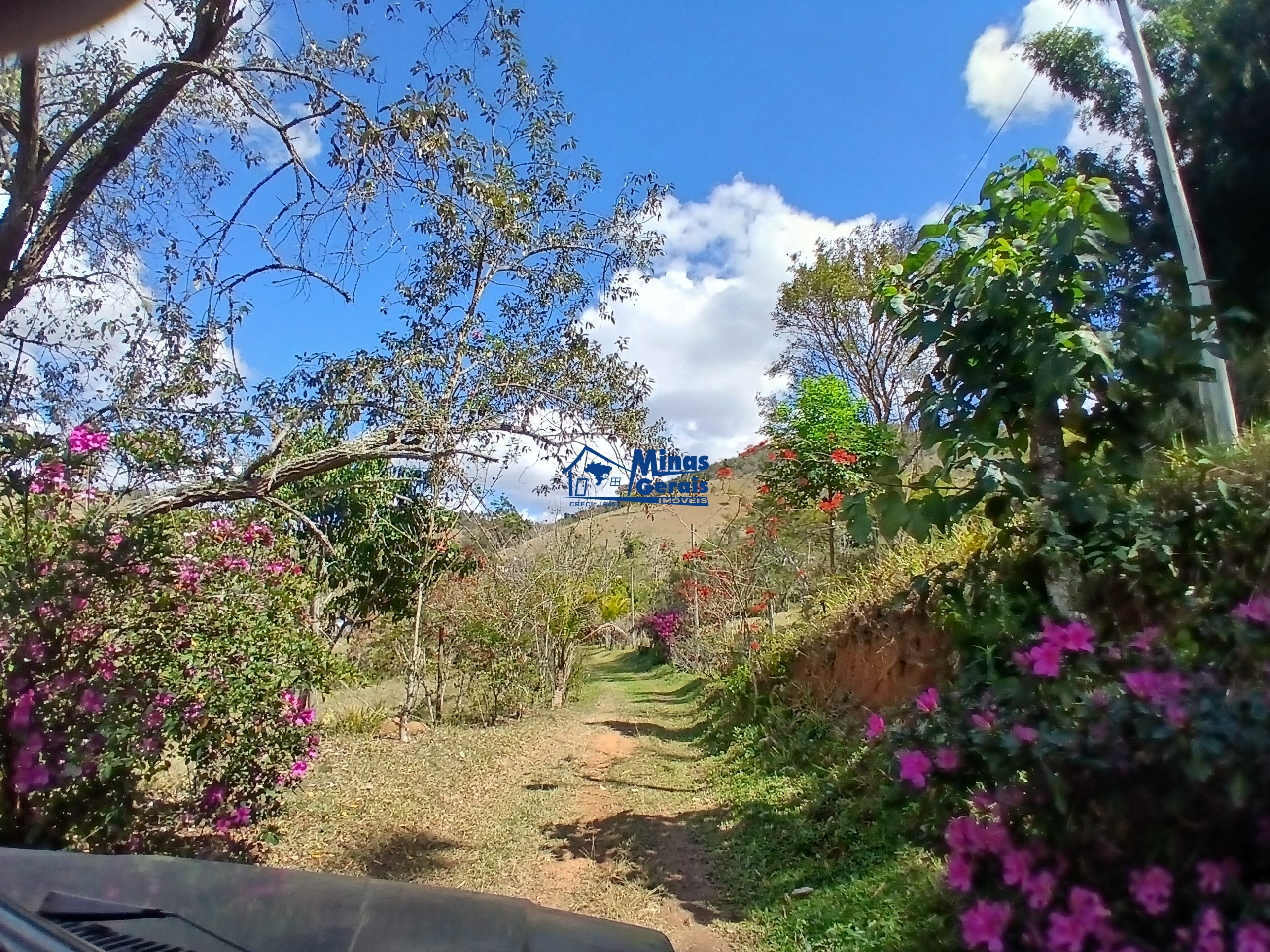 Sítio, 2 quartos, 9300 m² - Foto 19