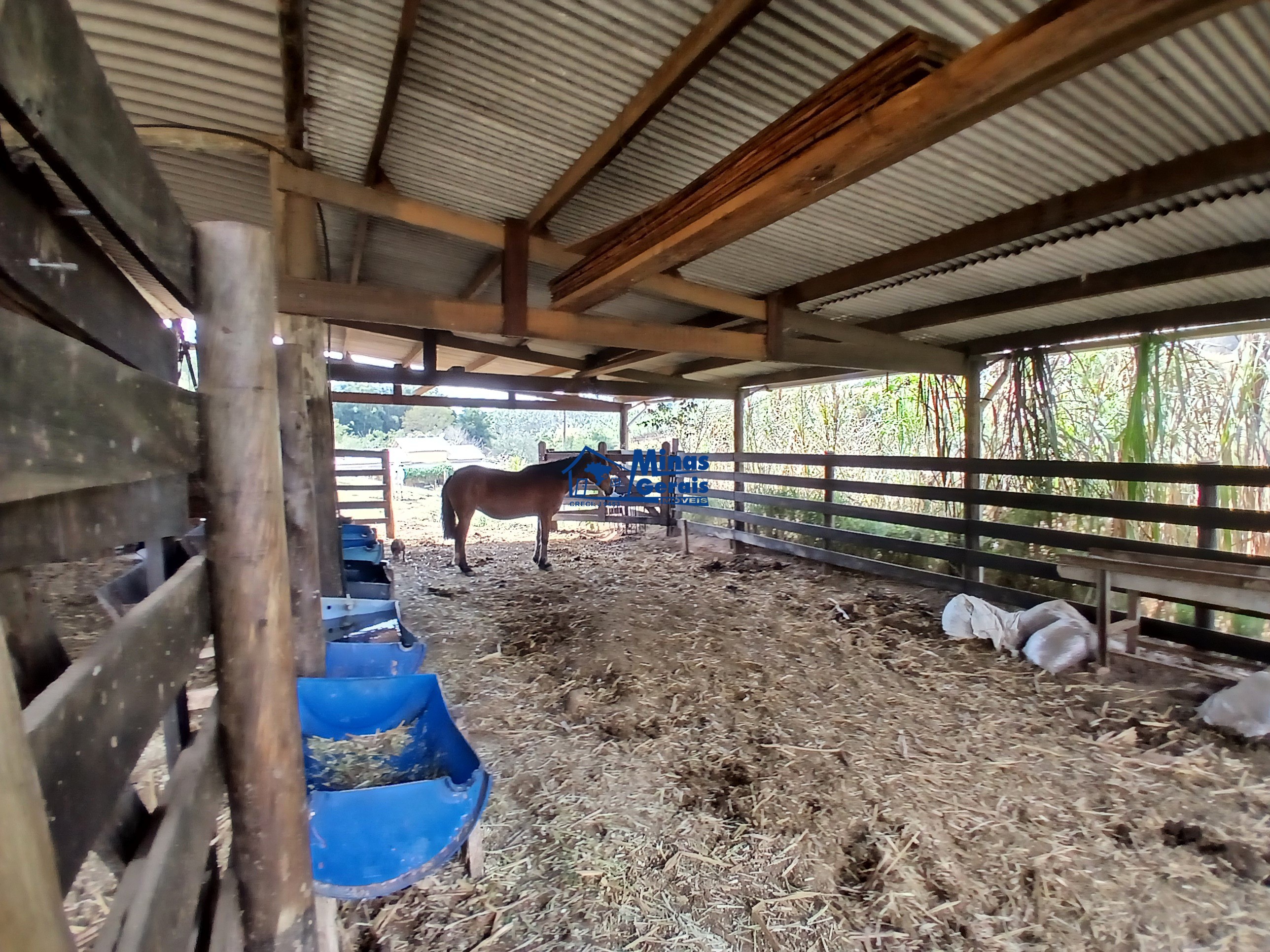 Sítio, 2 quartos, 9300 m² - Foto 16