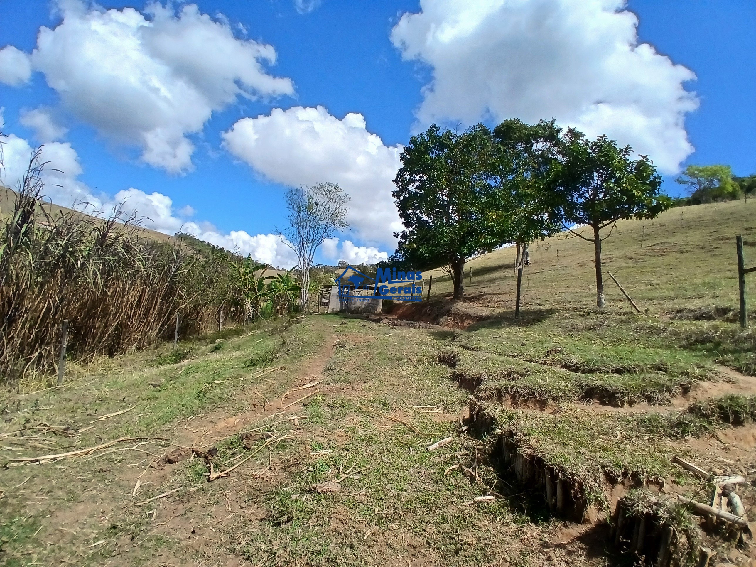 Sítio, 2 quartos, 9300 m² - Foto 27