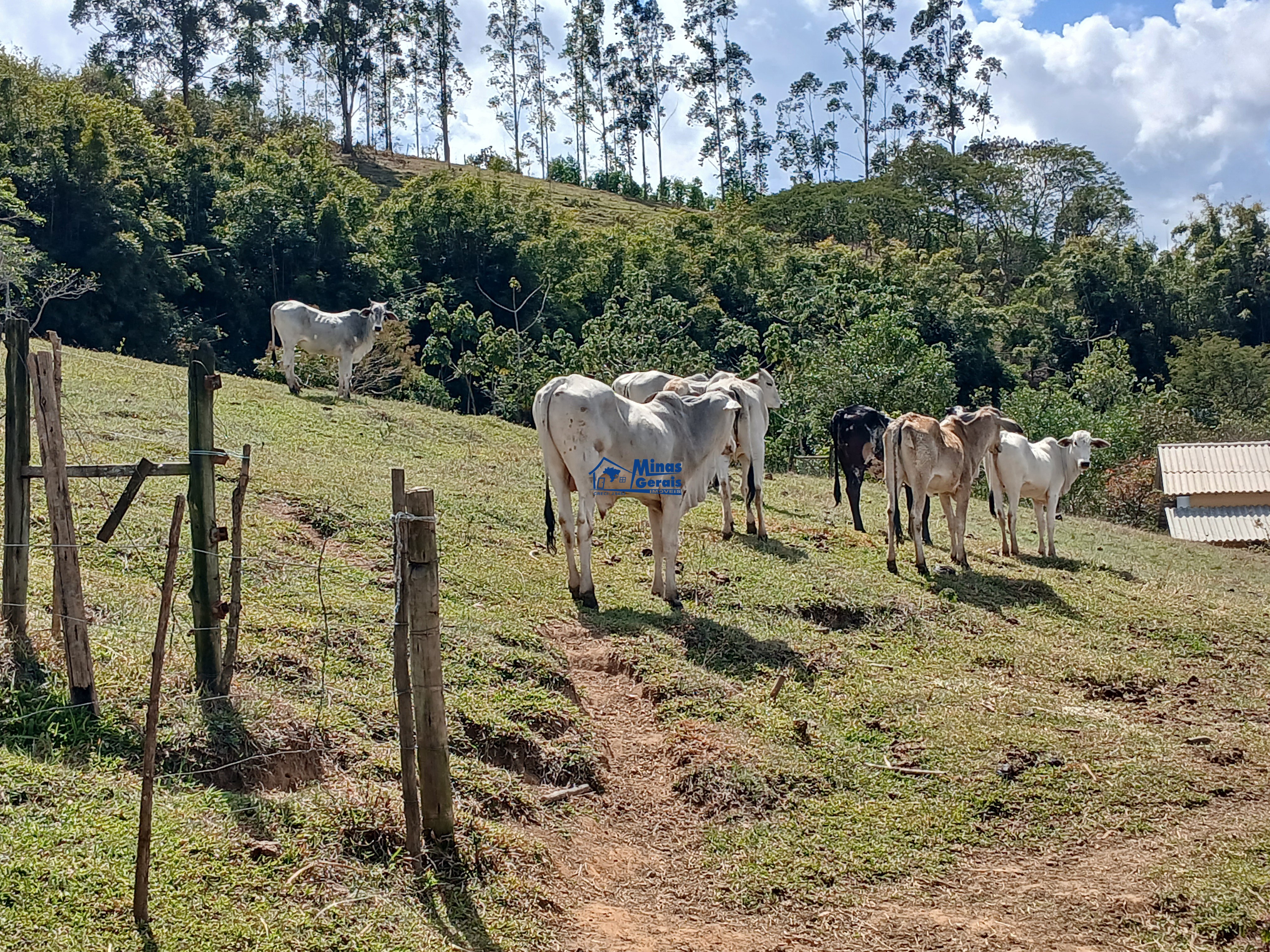 Sítio, 2 quartos, 9300 m² - Foto 25