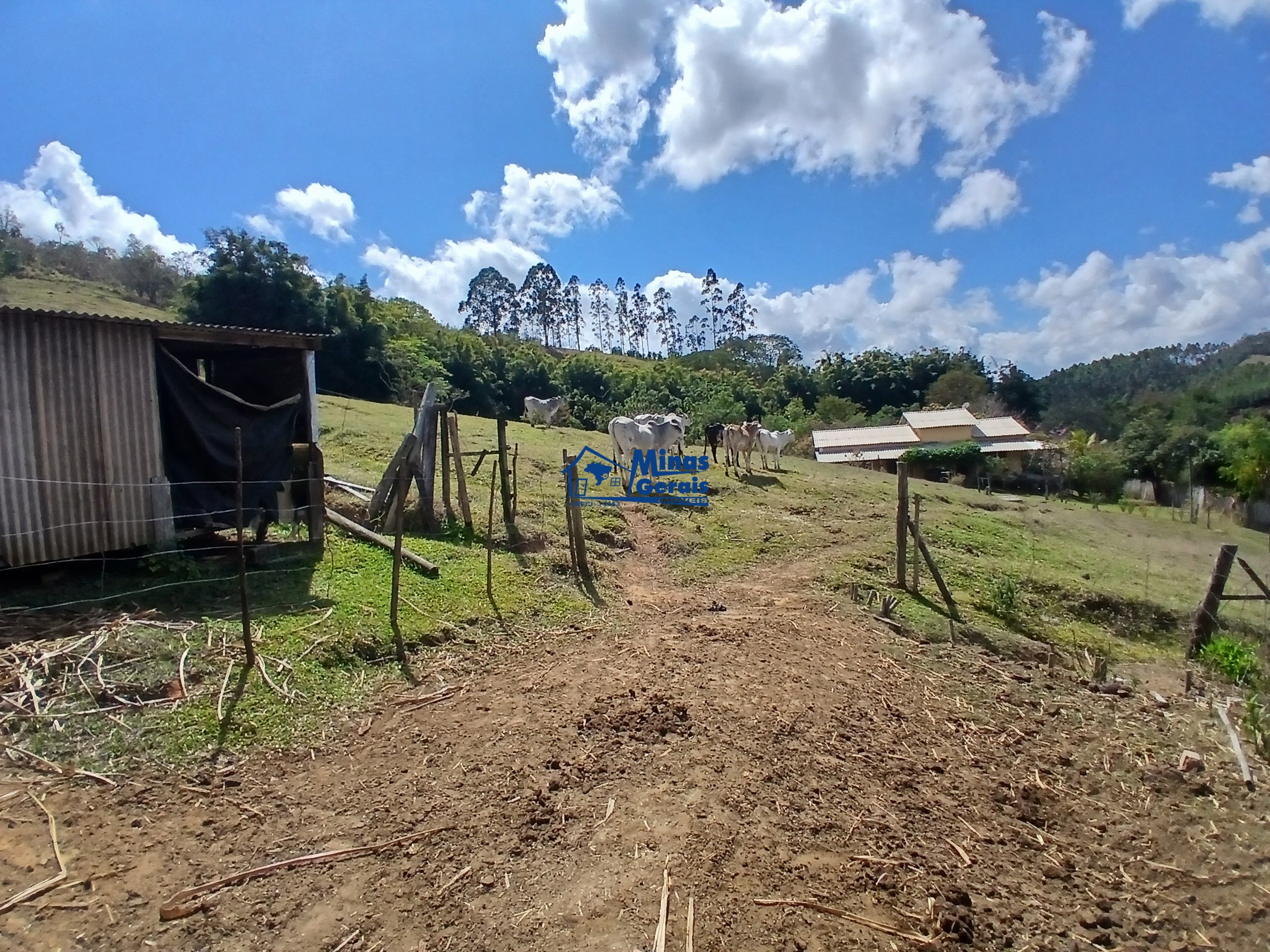 Sítio, 2 quartos, 9300 m² - Foto 17