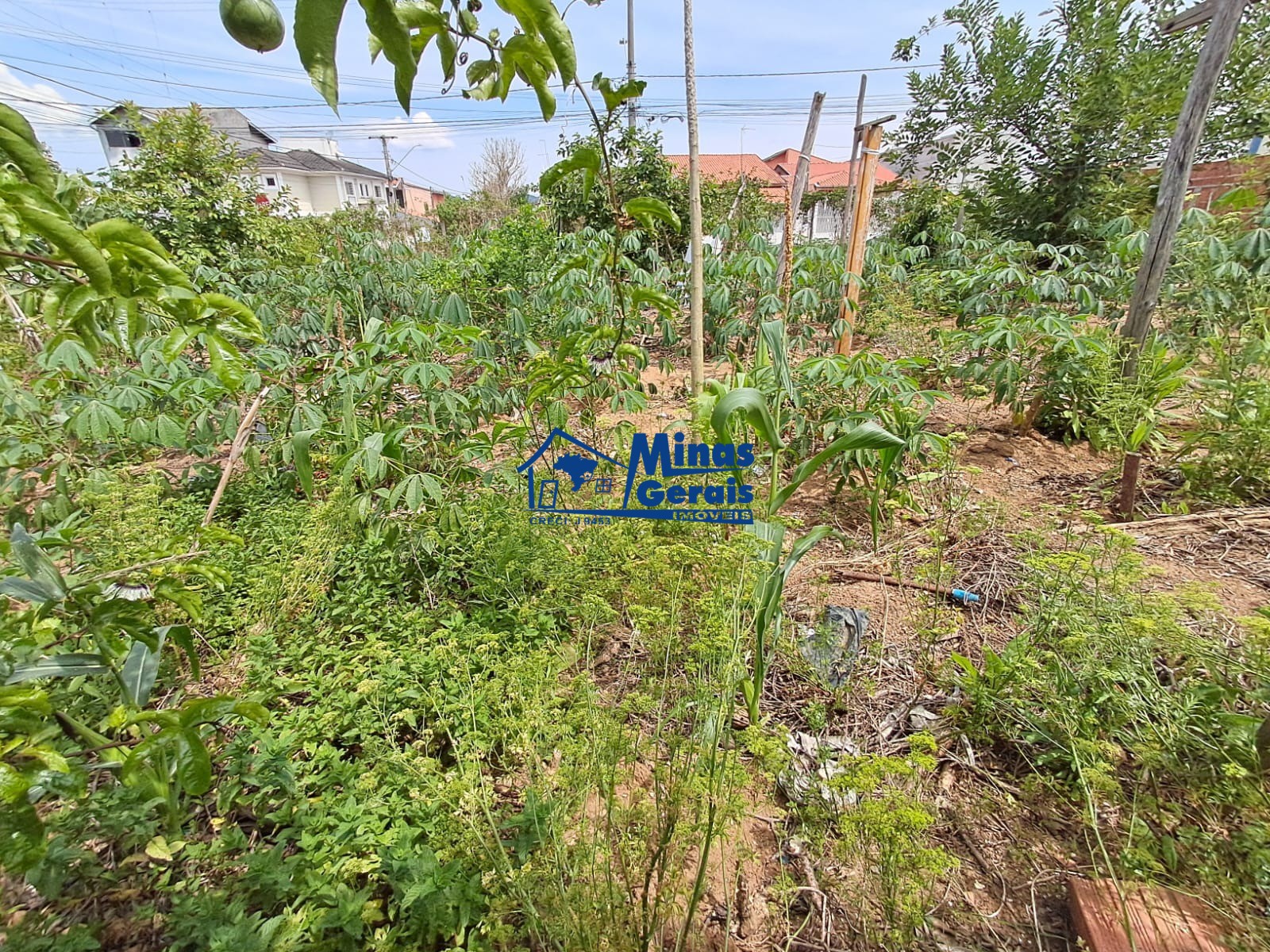 Terreno, 308 m² - Foto 3