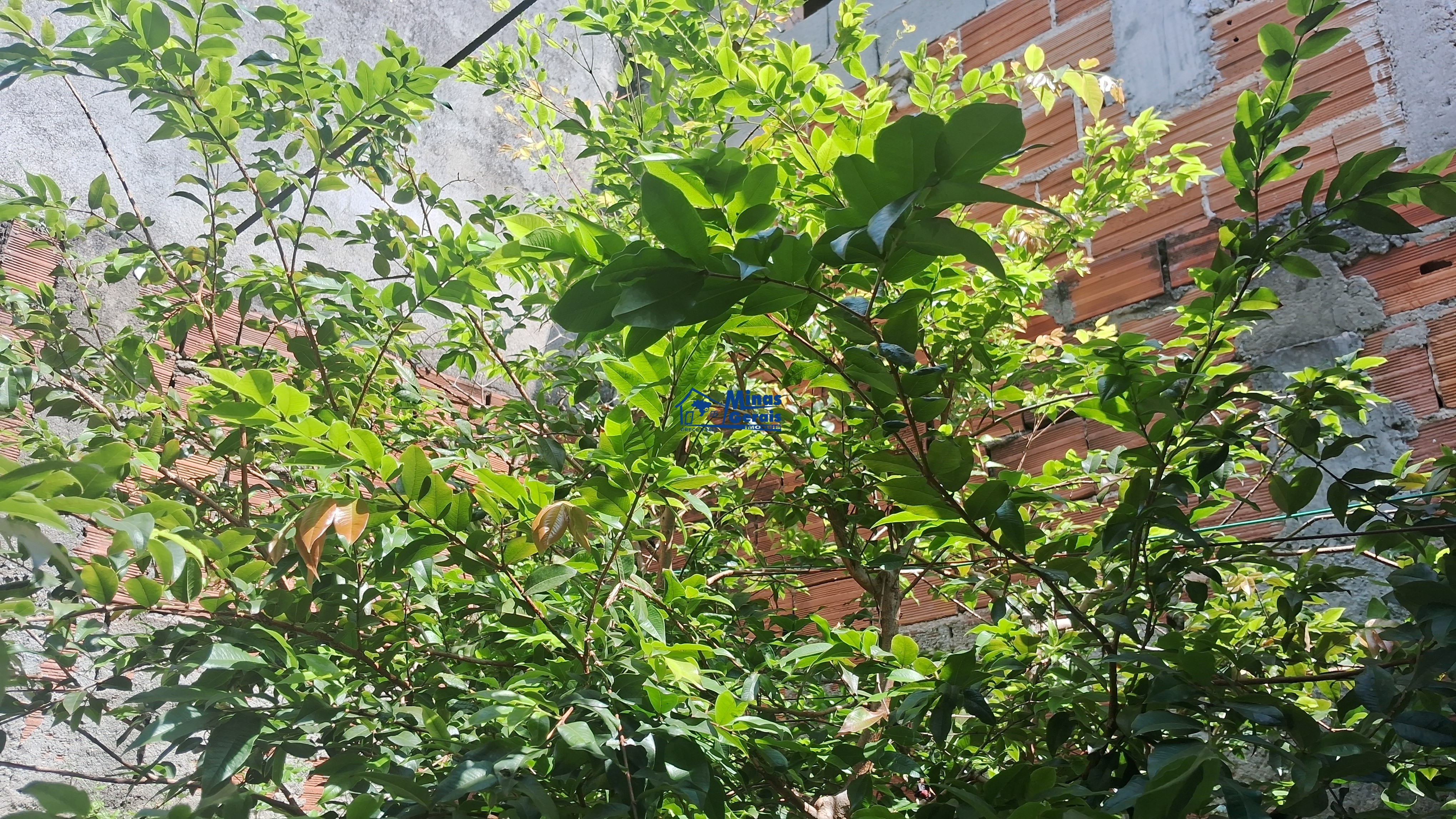 Casa, 2 quartos, 72 m² - Foto 16