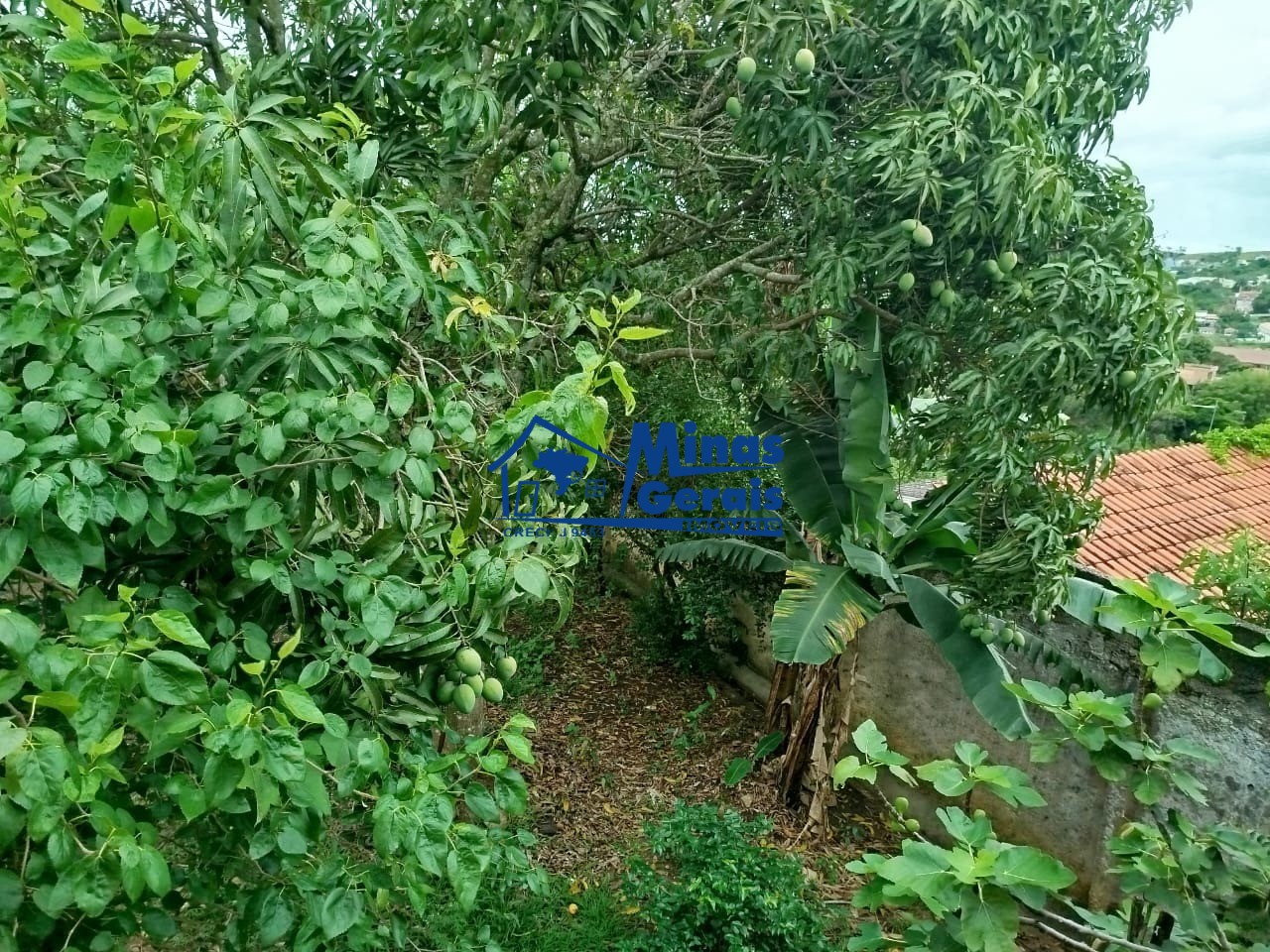 Chácara, 1440 m² - Foto 11