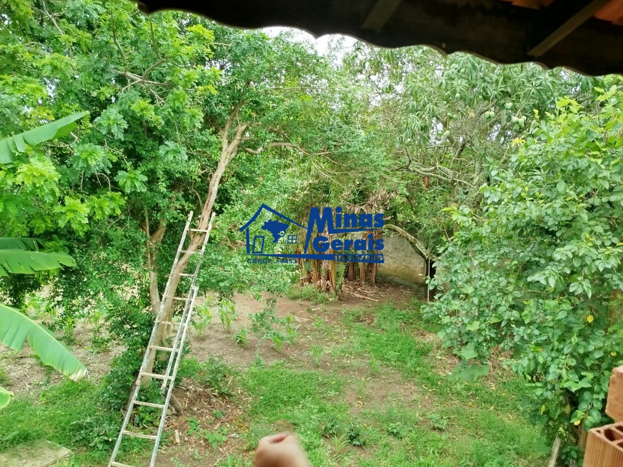 Chácara, 1440 m² - Foto 10