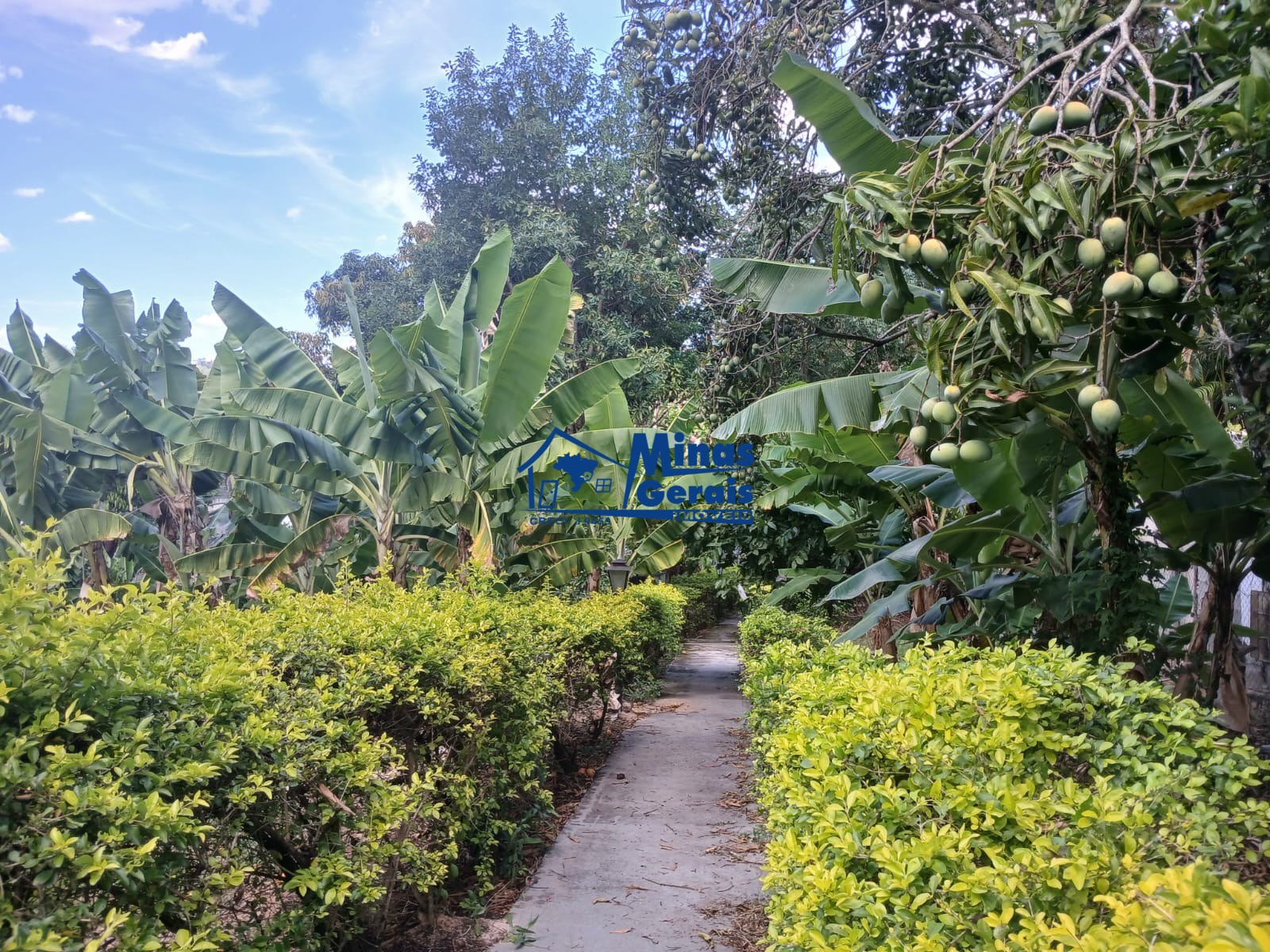 Chácara, 2 quartos, 1492 m² - Foto 3