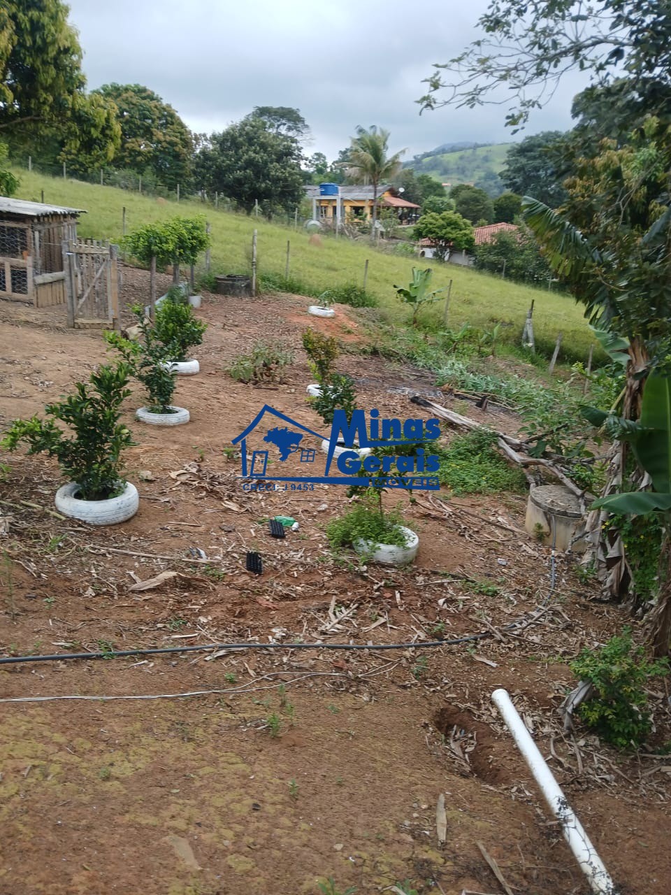 Chácara, 4 quartos, 2000 m² - Foto 17