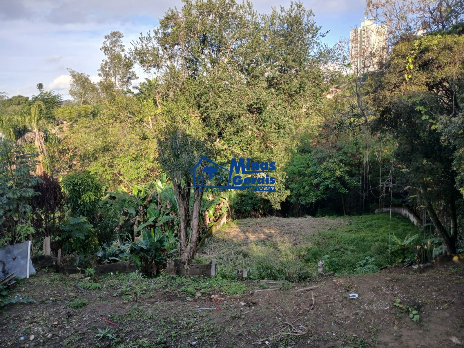 Casa, 4 quartos, 183 m² - Foto 21