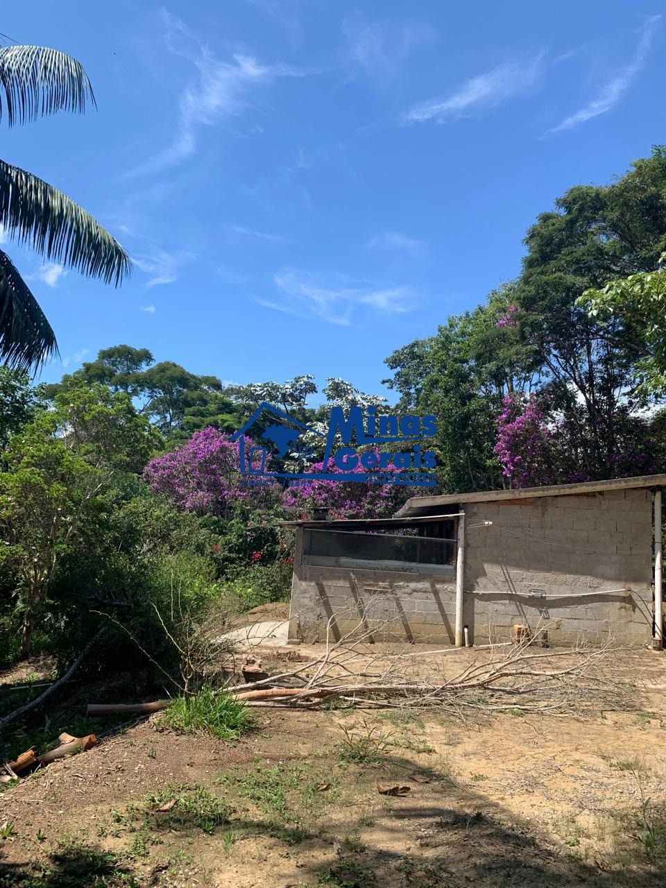 Chácara, 2 quartos, 3000 m² - Foto 15