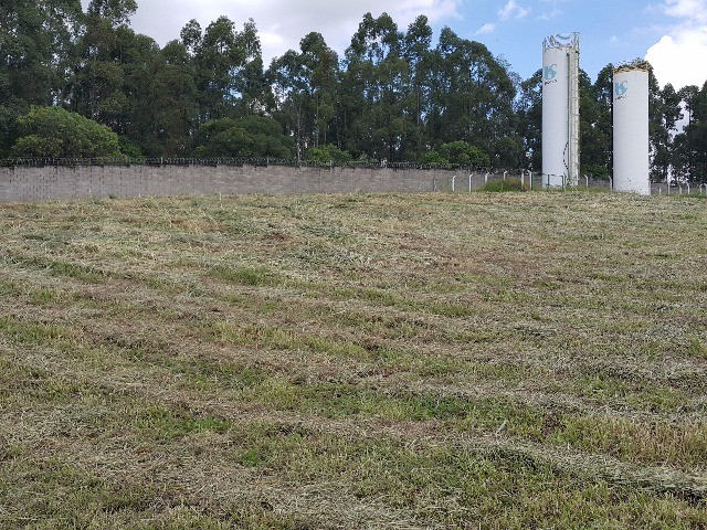 Terreno, 1480 m² - Foto 2