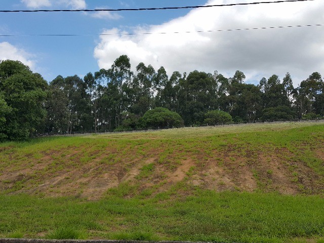 Terreno, 1480 m² - Foto 4