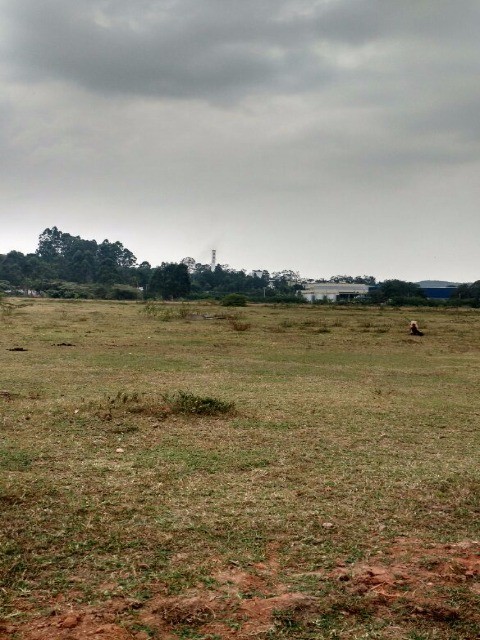 Loteamento e Condomínio - Foto 4