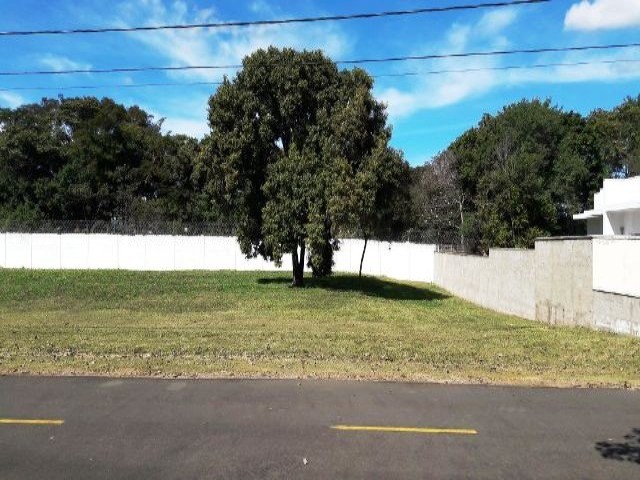 Terreno, 1000 m² - Foto 3