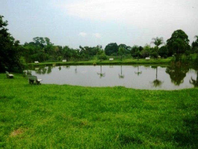 Terreno, 1000 m² - Foto 7