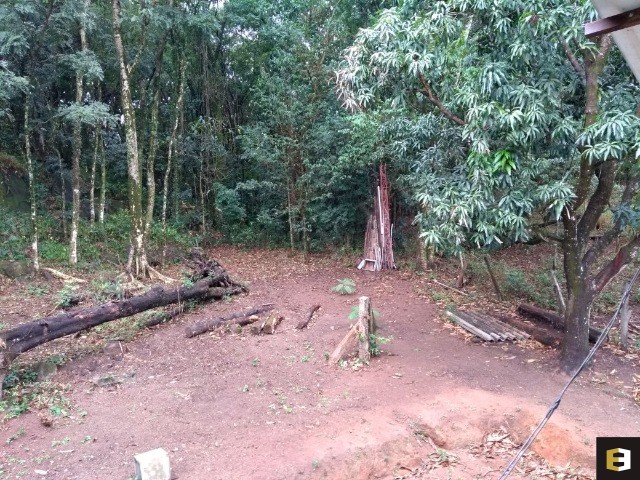 Terreno, 33000 m² - Foto 5