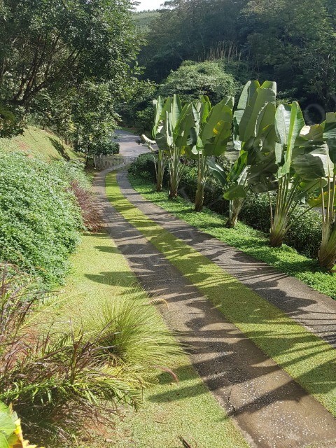 Casa de Condomínio, 6 quartos - Foto 12