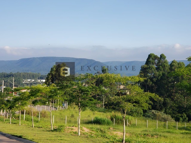 Terreno, 836 m² - Foto 7