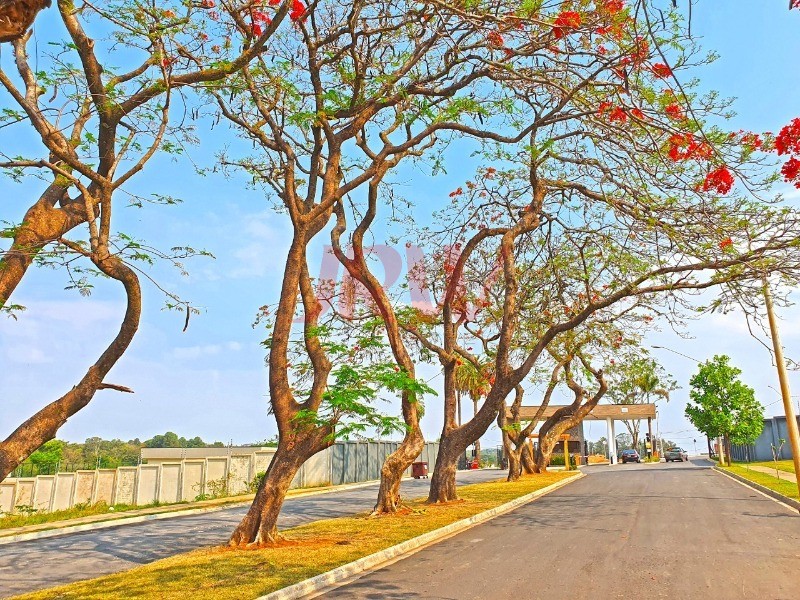 Terreno, 354 m² - Foto 9