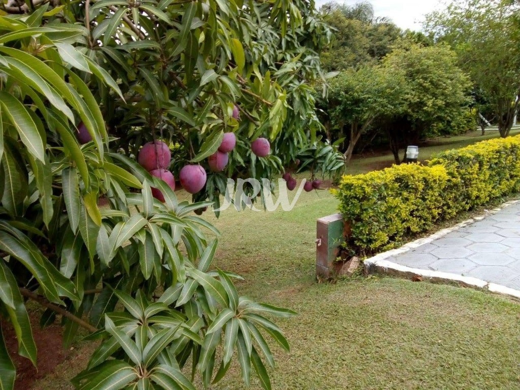 Chácara, 1 quarto, 1000 m² - Foto 5