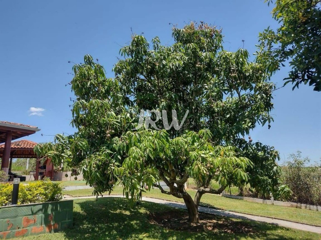 Chácara, 1 quarto, 1000 m² - Foto 18