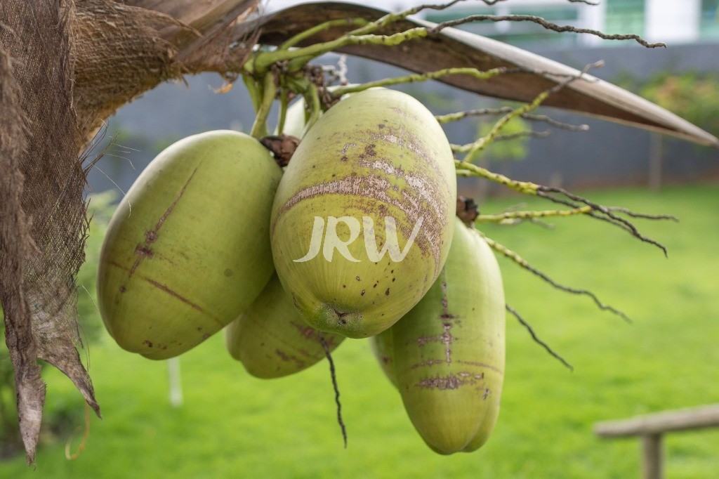 Chácara, 5 quartos, 2500 m² - Foto 27