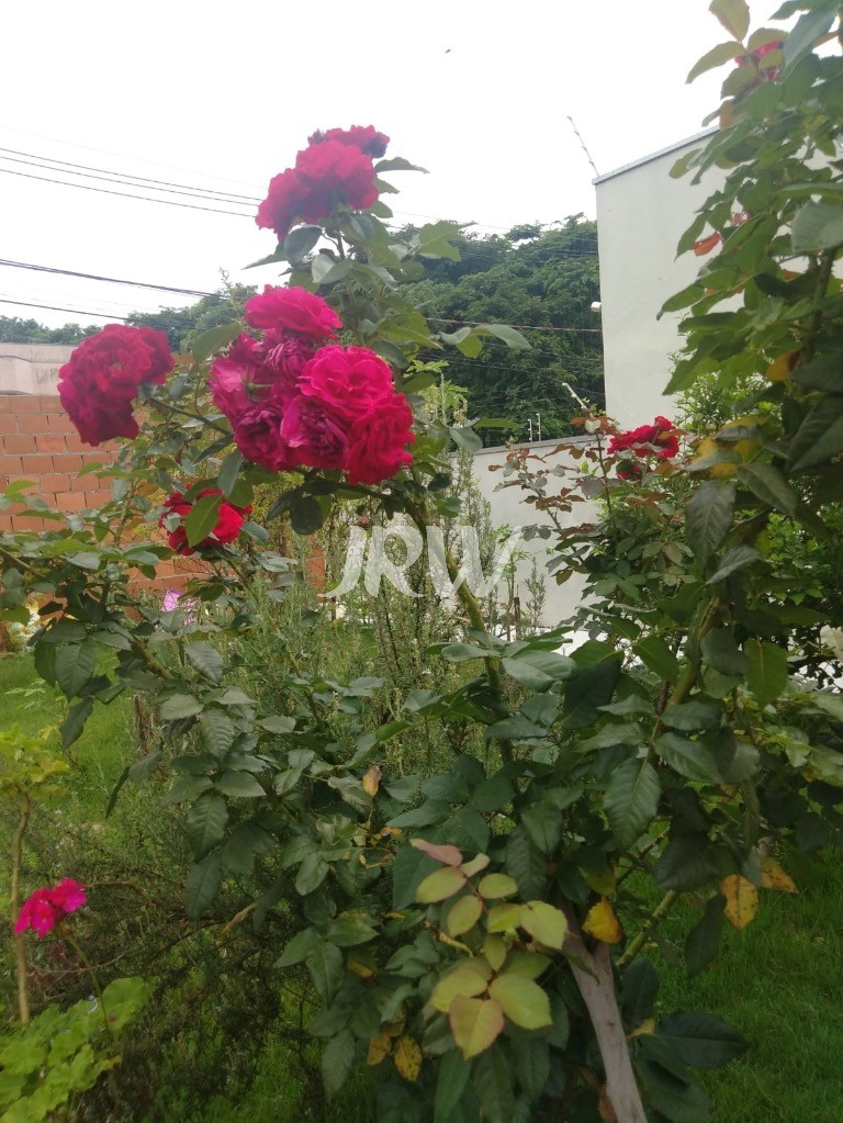 Casa, 2 quartos, 300 m² - Foto 24