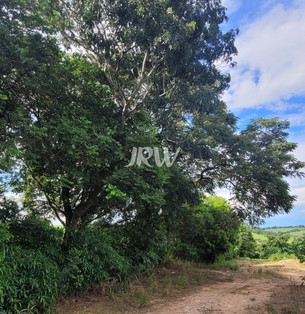 Sítio à venda com 2 quartos, 44500m² - Foto 11