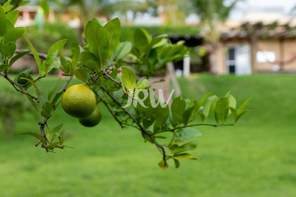 Chácara, 5 quartos, 2500 m² - Foto 26