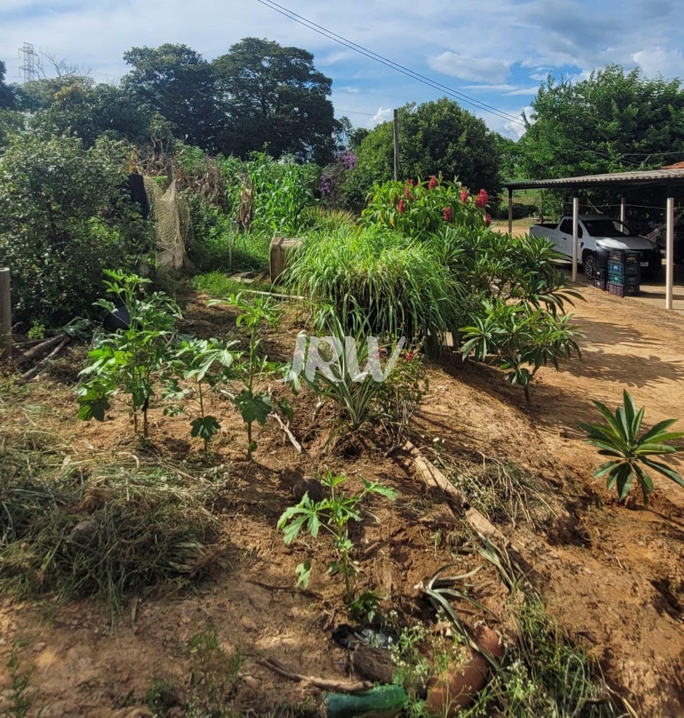 Sítio à venda com 2 quartos, 44500m² - Foto 5