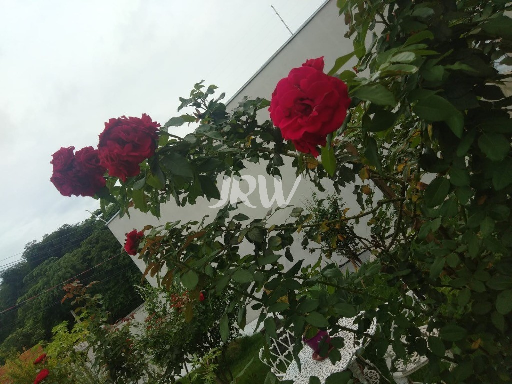 Casa, 2 quartos, 300 m² - Foto 23