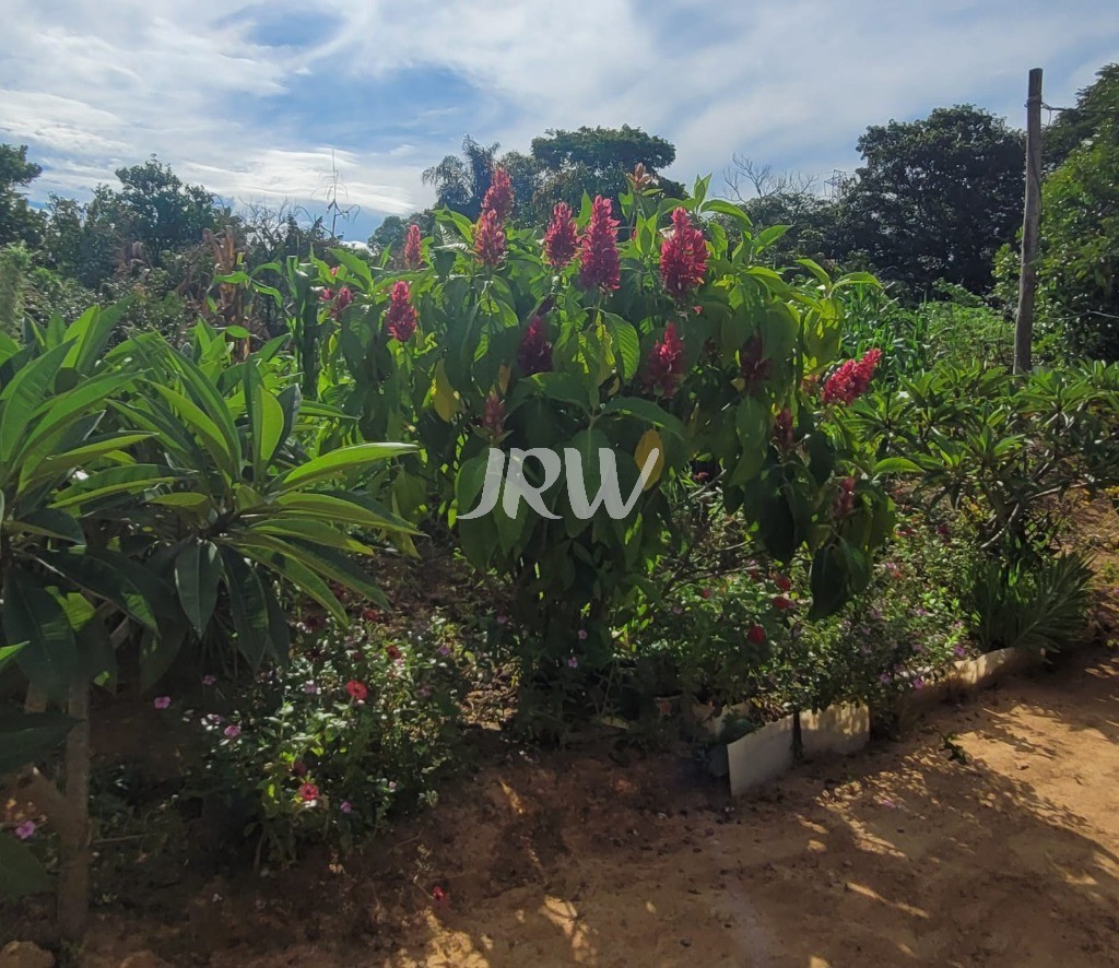 Sítio à venda com 2 quartos, 44500m² - Foto 8