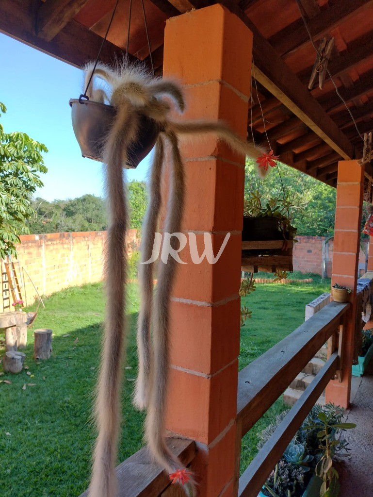 Chácara, 3 quartos, 900 m² - Foto 7