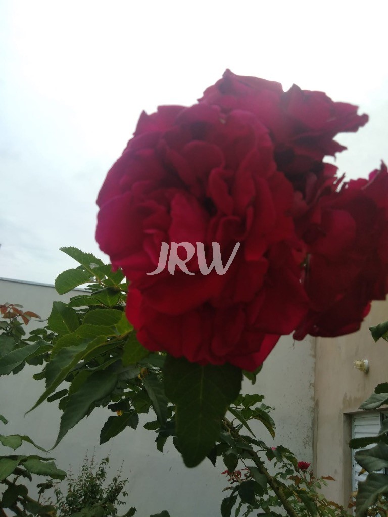 Casa, 2 quartos, 300 m² - Foto 20