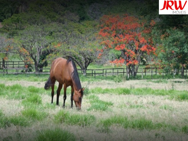 Terreno, 360 m² - Foto 9