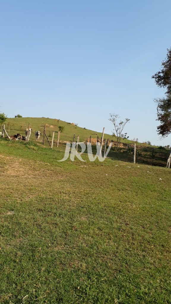 Terreno à venda, 21000m² - Foto 7