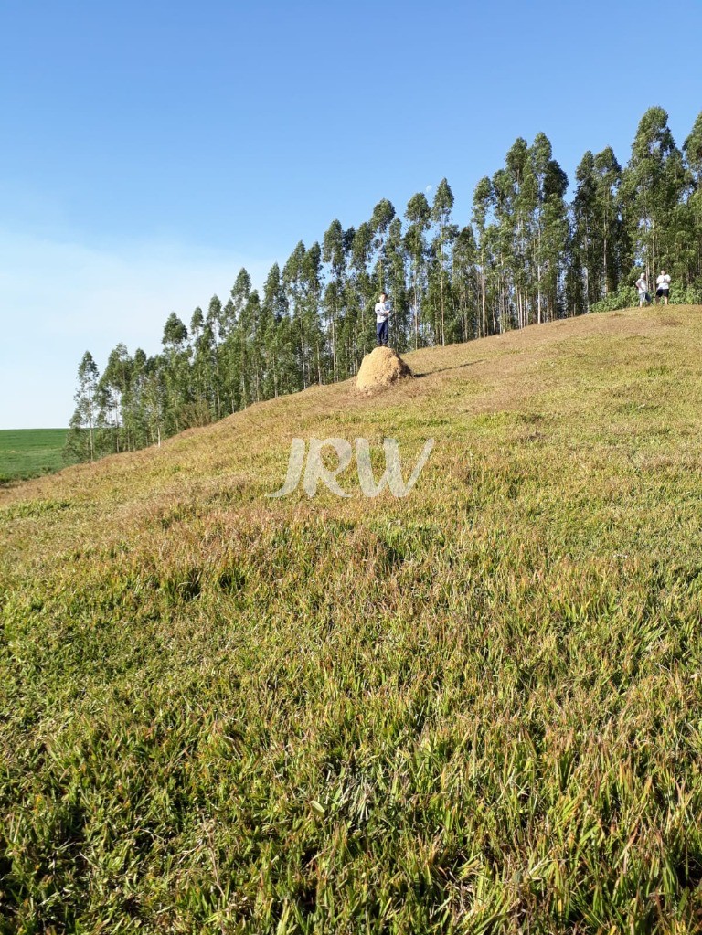 Terreno à venda, 21000m² - Foto 9