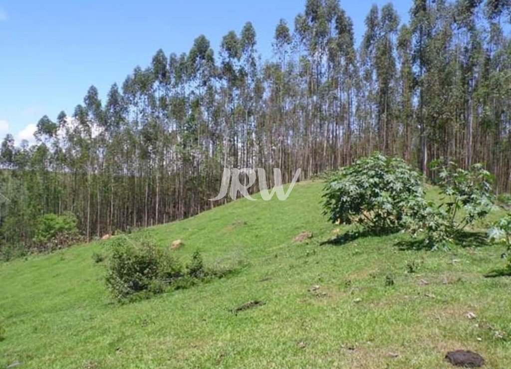 Terreno à venda, 21000m² - Foto 8