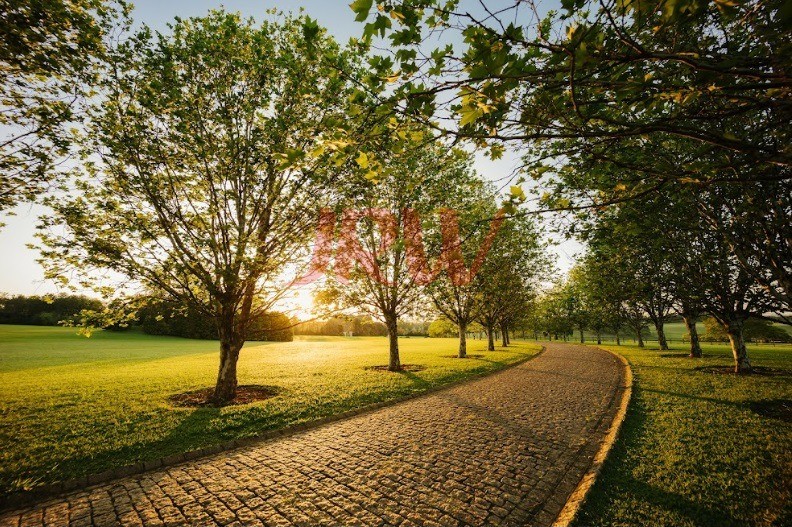 Terreno, 570 m² - Foto 6