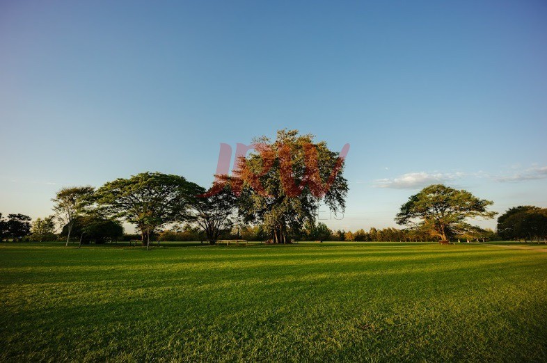 Terreno, 570 m² - Foto 8