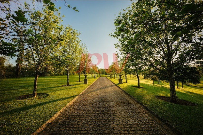 Terreno, 617 m² - Foto 3