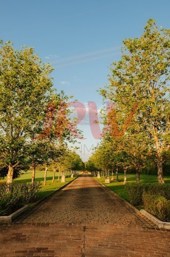 Terreno, 617 m² - Foto 11