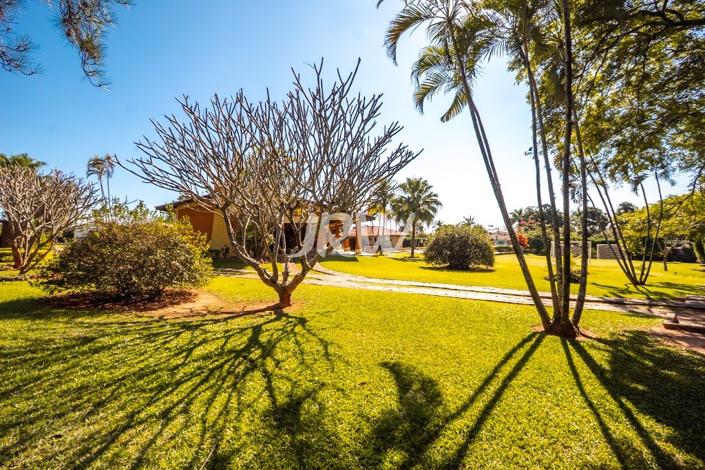Chácara à venda com 4 quartos, 6060m² - Foto 5