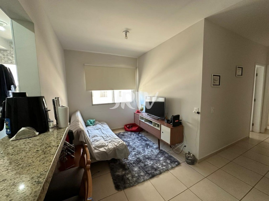 Apartamento, 2 quartos, 55 m² - Foto 2